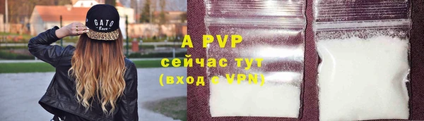 шишки Медвежьегорск