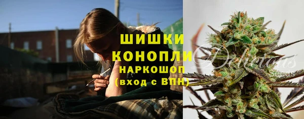 тгк Мегион